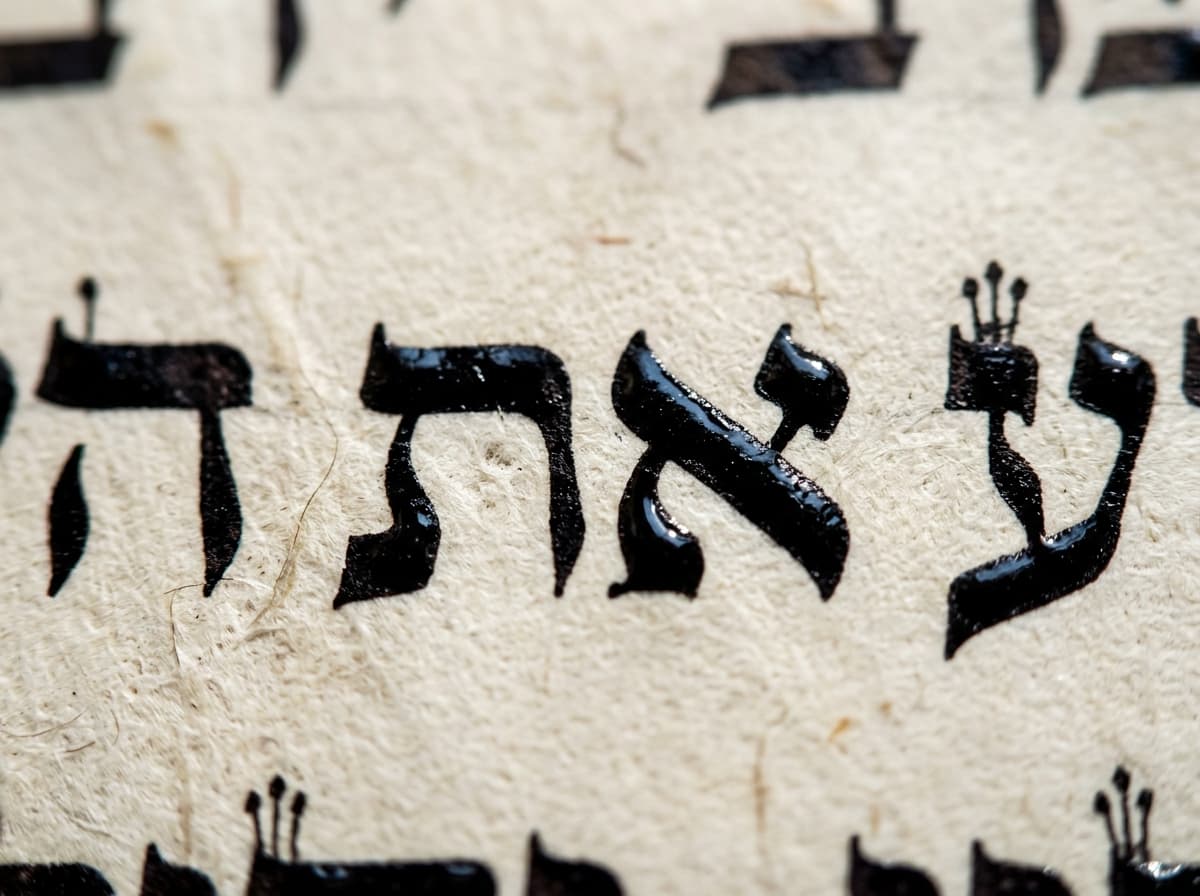 Close-up of handwritten STaM letters on parchment