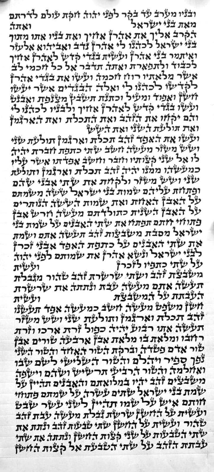 Torah Scroll - Beit Yosef (42 cm)
