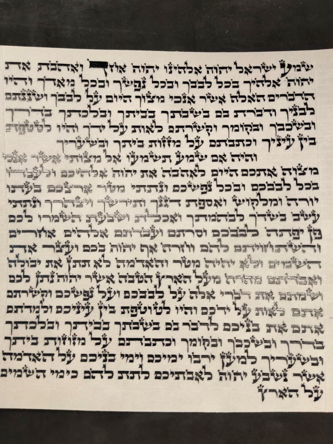 Mezuzah Scroll - Ashkenazi (15 cm)
